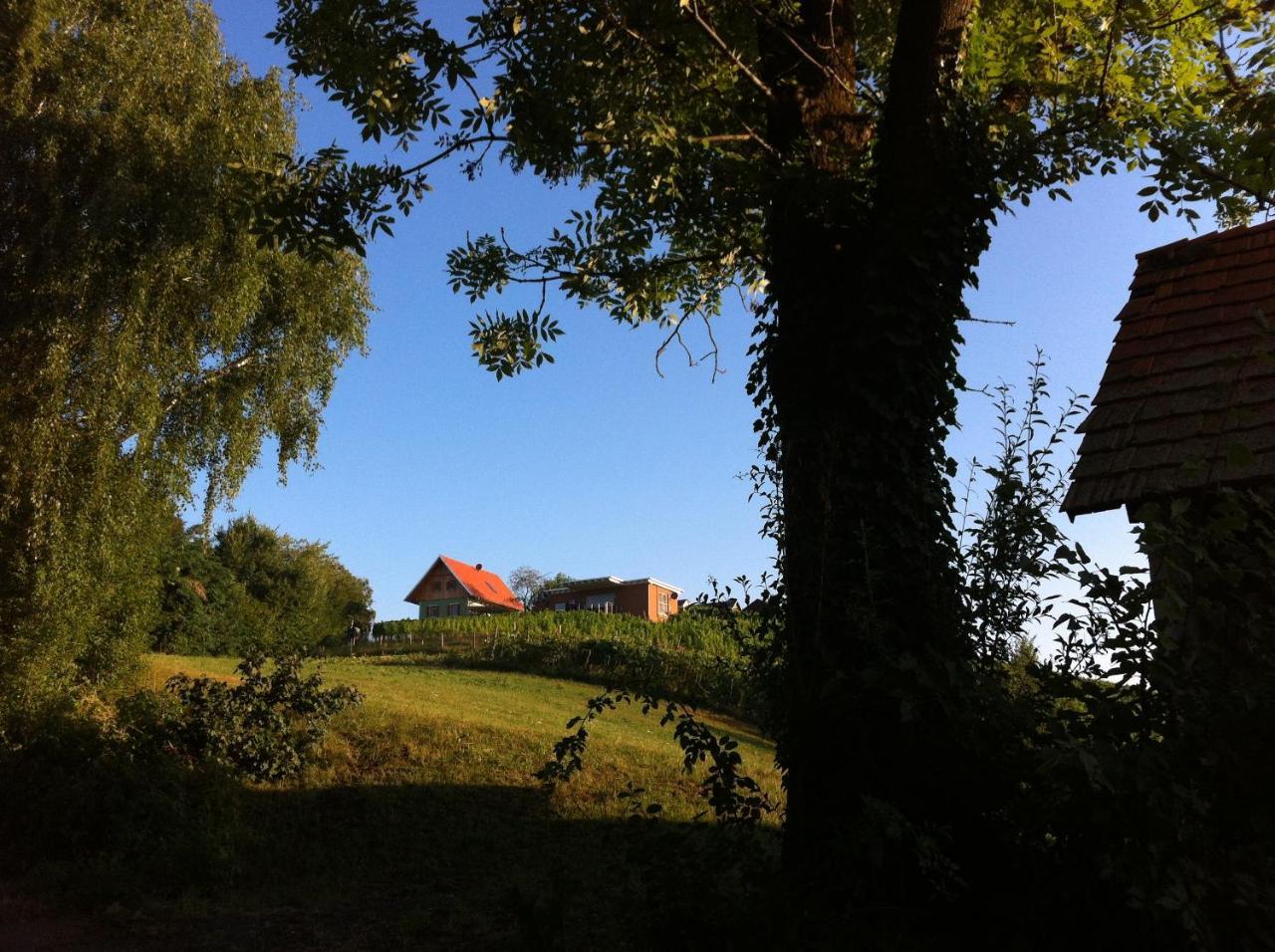 Ferienhaeuser Im Weingarten Fehring Luaran gambar